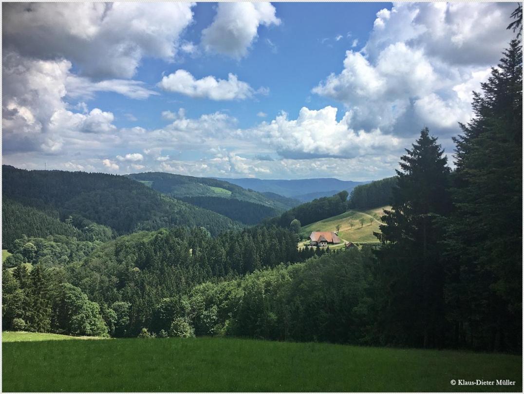 Villa Haus Am Waldrand à Triberg im Schwarzwald Extérieur photo