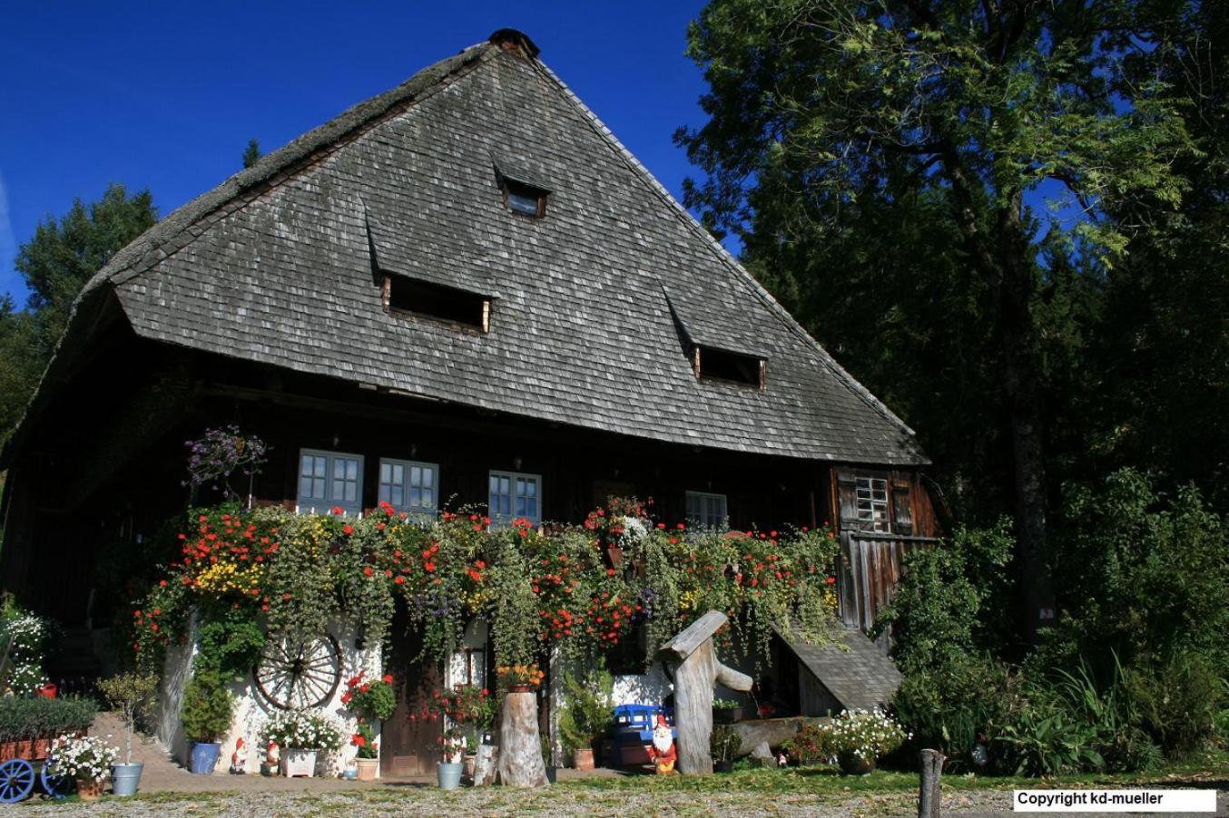 Villa Haus Am Waldrand à Triberg im Schwarzwald Extérieur photo