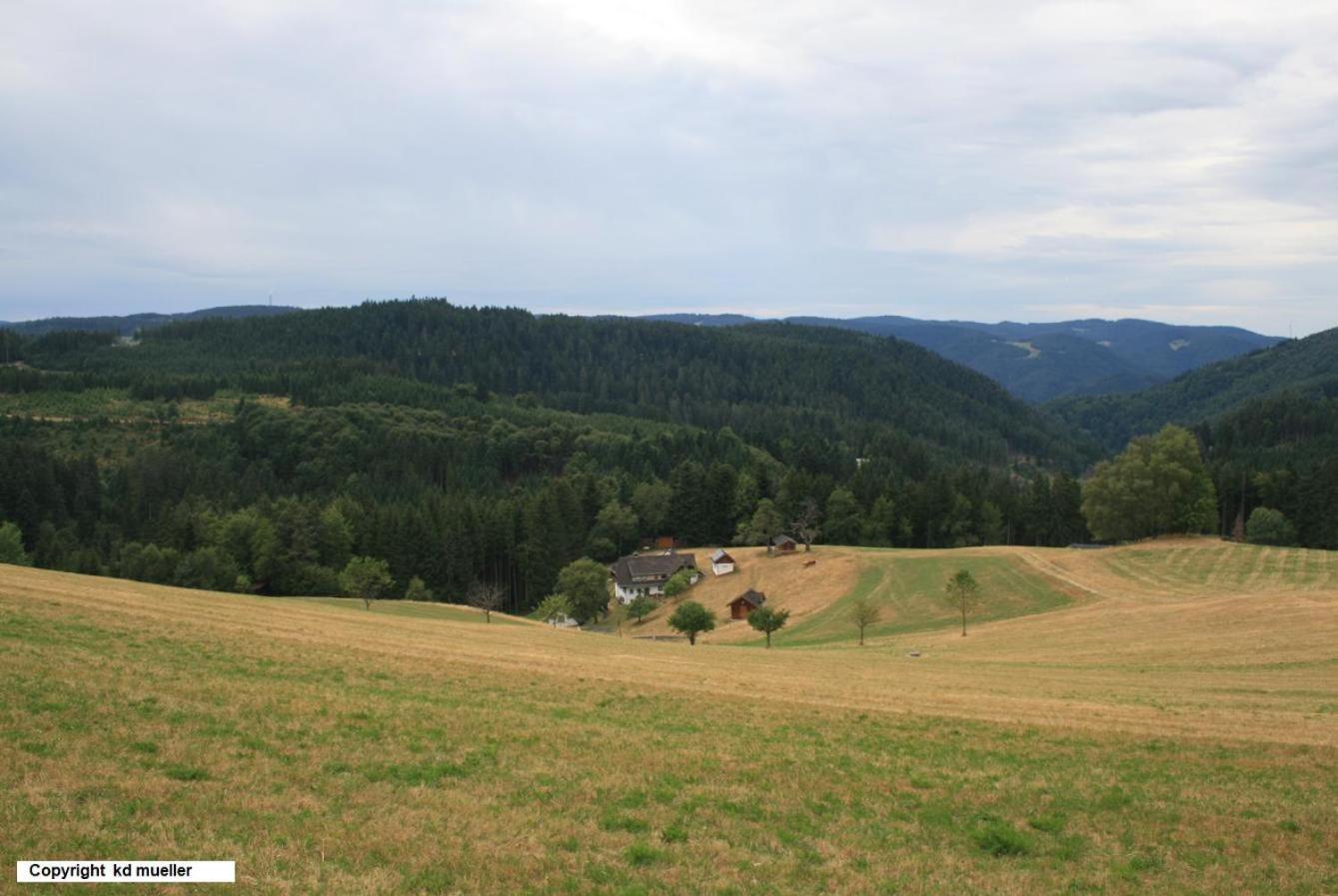 Villa Haus Am Waldrand à Triberg im Schwarzwald Extérieur photo