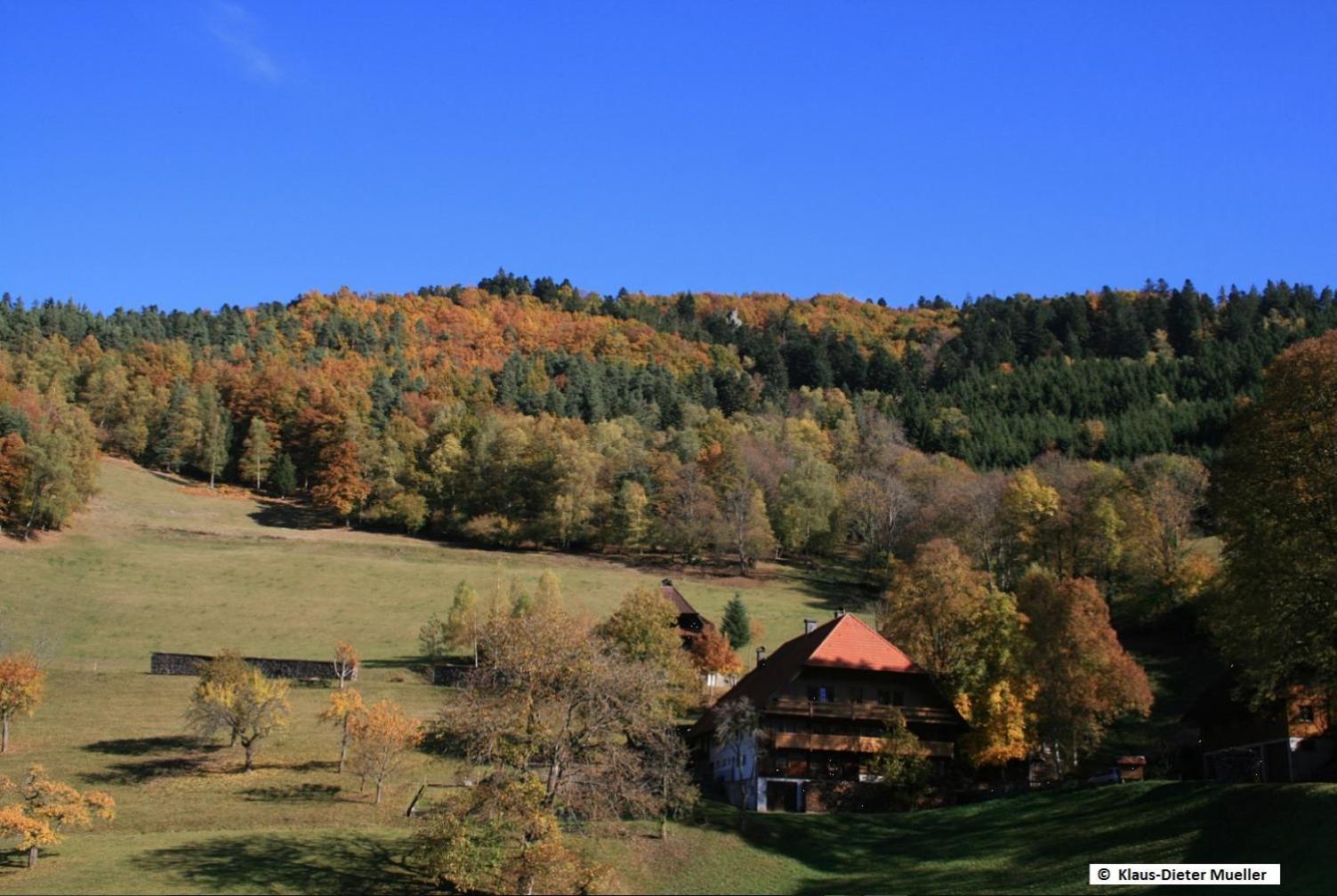 Villa Haus Am Waldrand à Triberg im Schwarzwald Extérieur photo