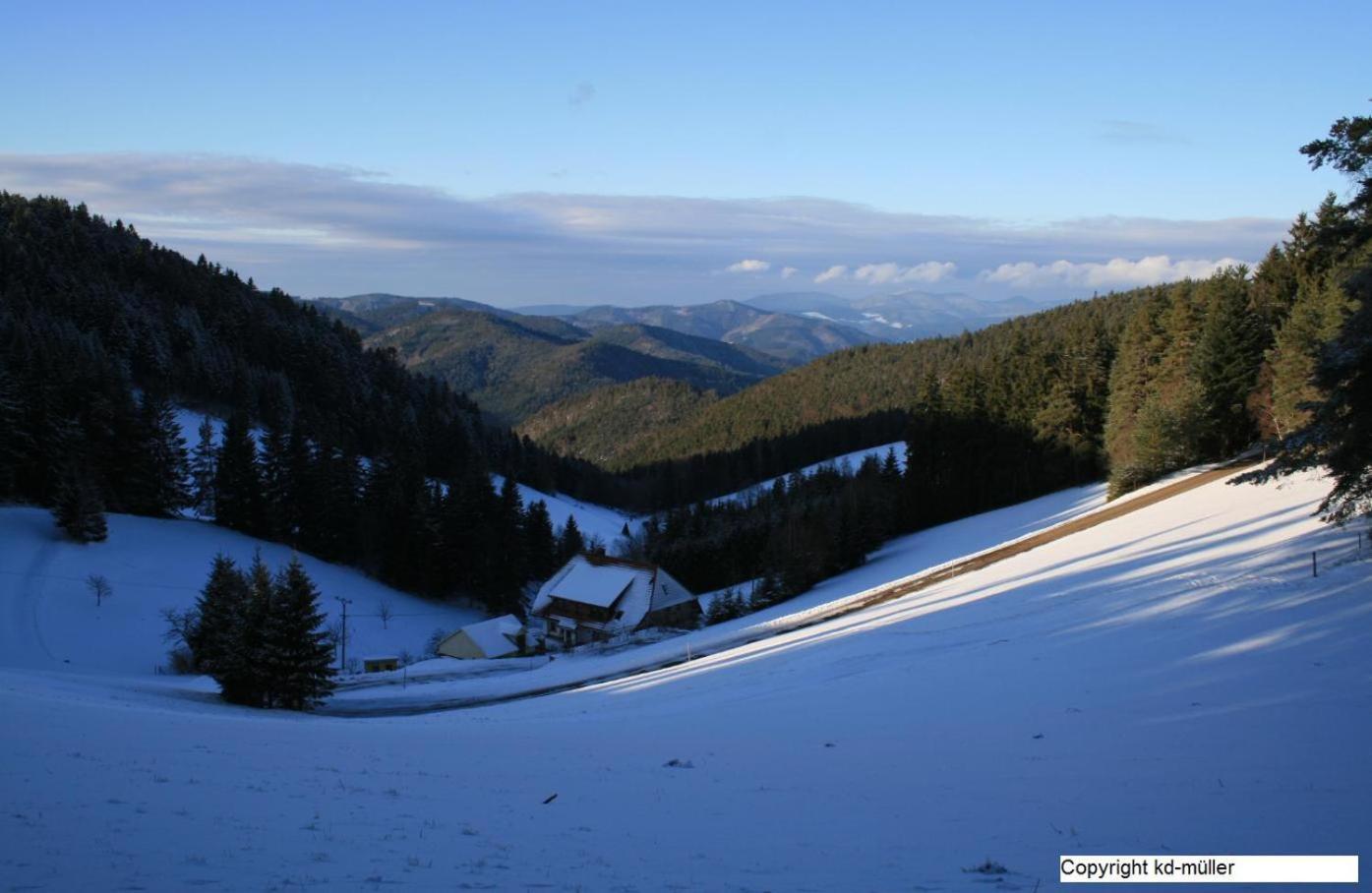 Villa Haus Am Waldrand à Triberg im Schwarzwald Extérieur photo