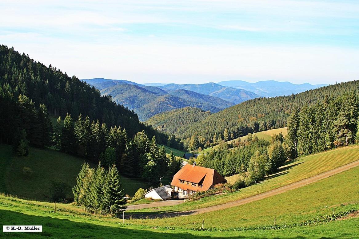 Villa Haus Am Waldrand à Triberg im Schwarzwald Extérieur photo
