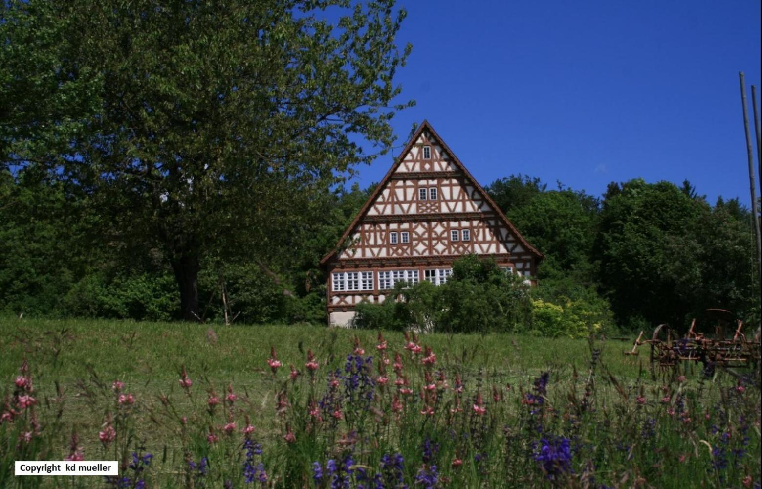 Villa Haus Am Waldrand à Triberg im Schwarzwald Extérieur photo