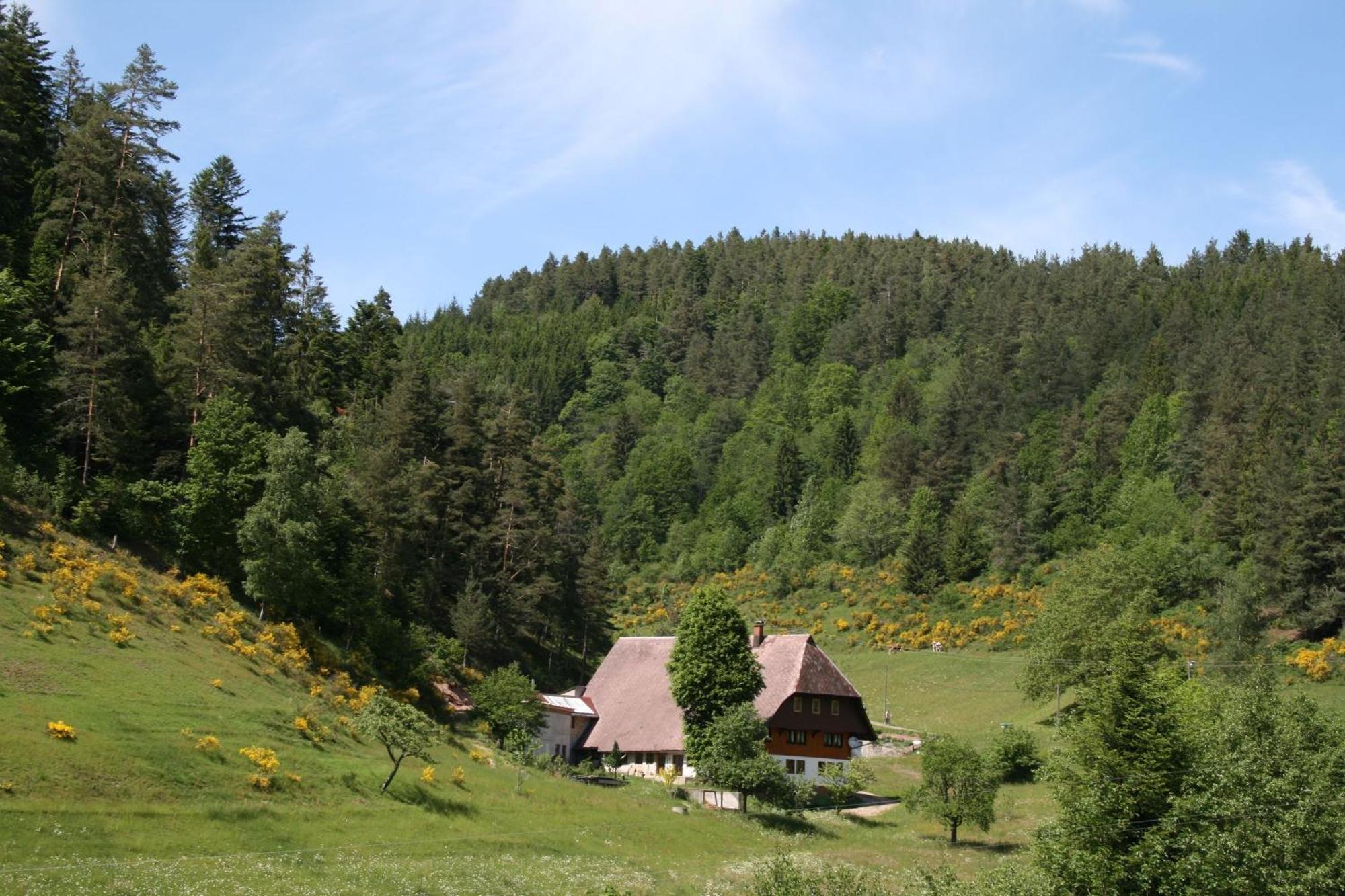 Villa Haus Am Waldrand à Triberg im Schwarzwald Extérieur photo