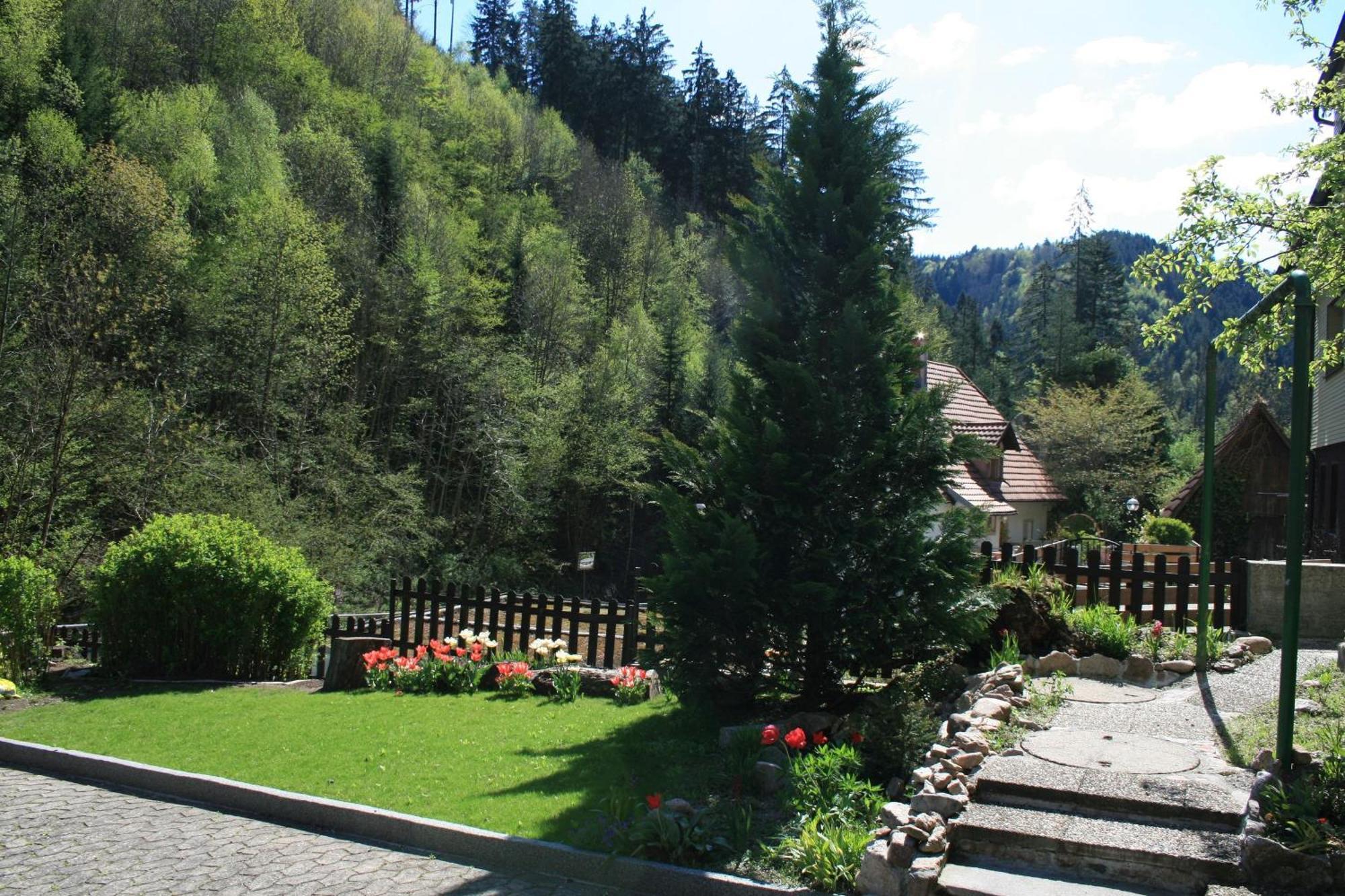 Villa Haus Am Waldrand à Triberg im Schwarzwald Extérieur photo