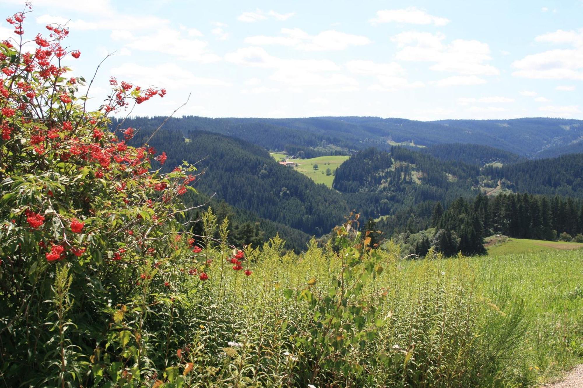 Villa Haus Am Waldrand à Triberg im Schwarzwald Extérieur photo